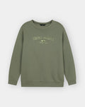 Men green Sweatshirt