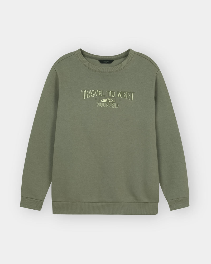 Men green Sweatshirt