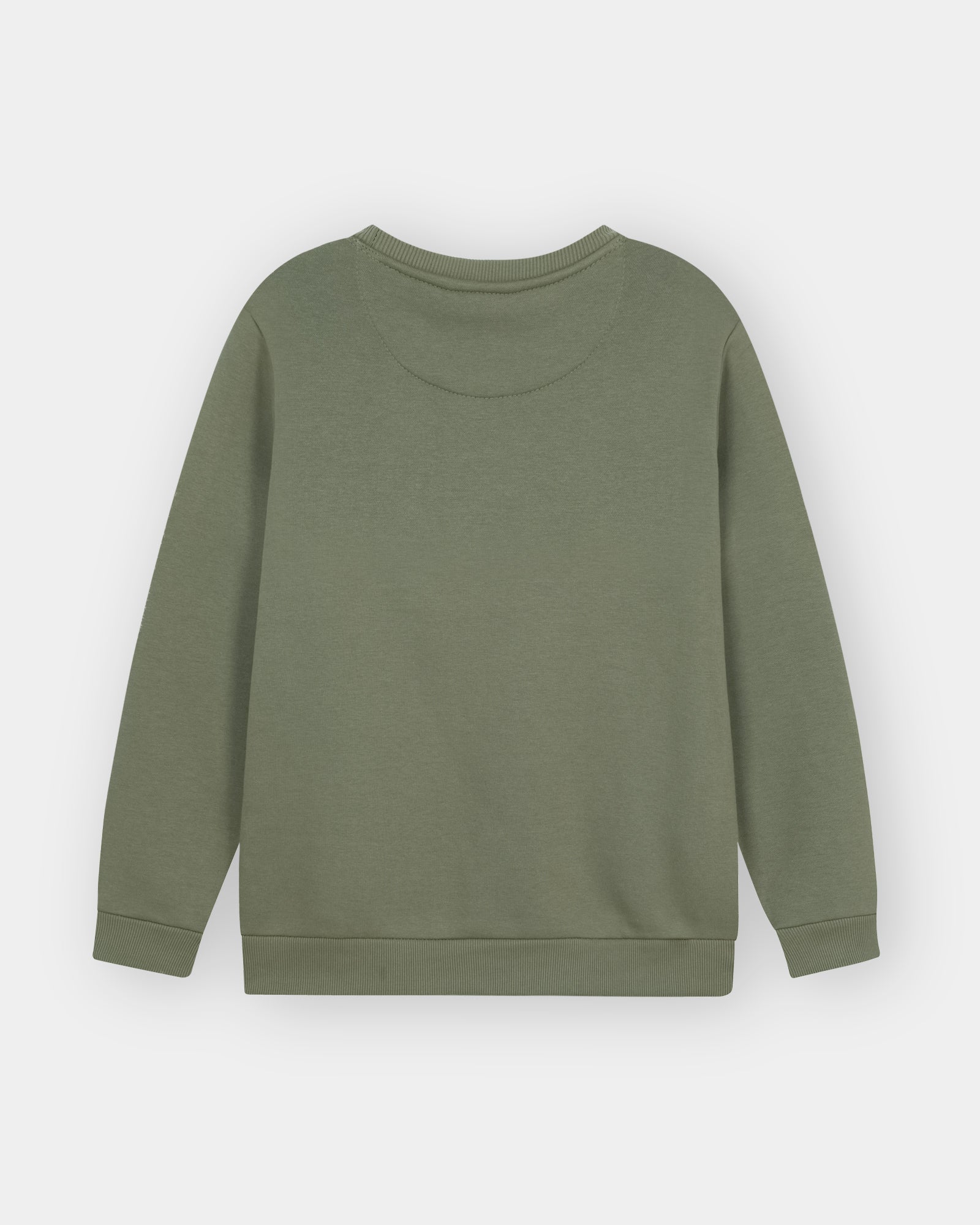 Men green Sweatshirt