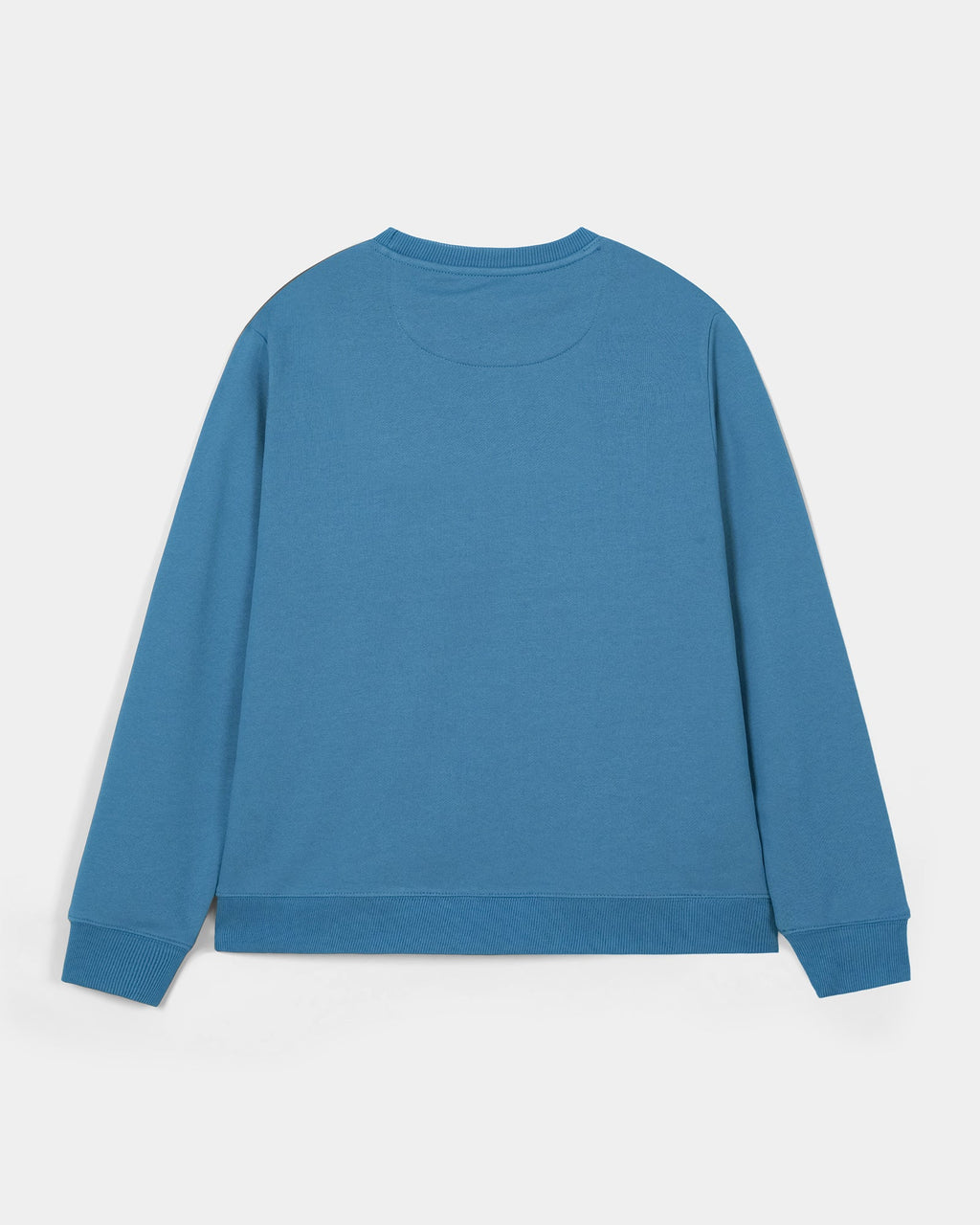 Men Graphic blue Sweatshirt