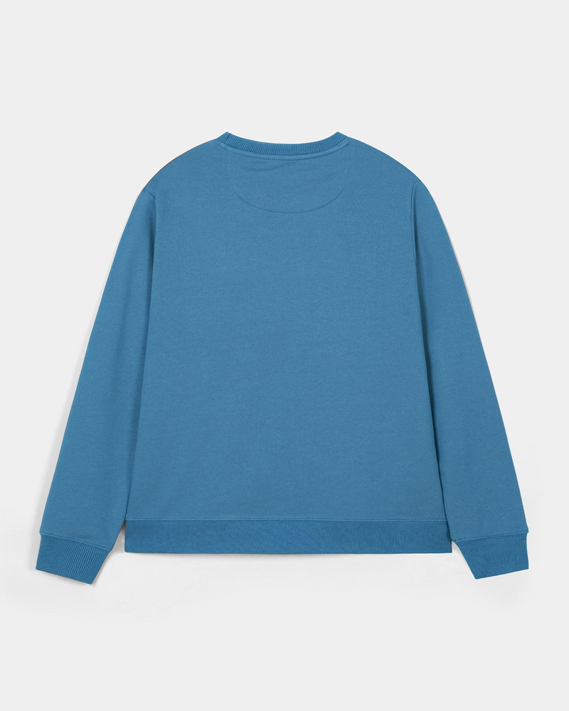 Men Graphic blue Sweatshirt